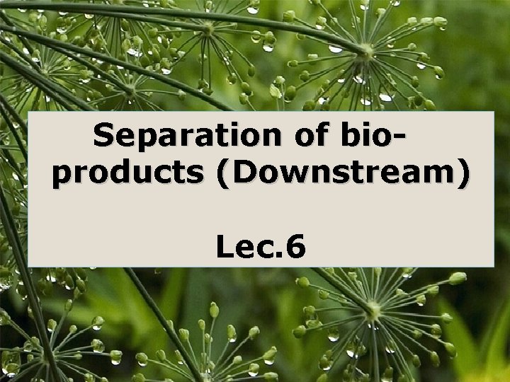 Separation of bioproducts (Downstream) Lec. 6 