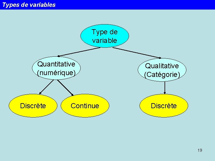 Types de variables Type de variable Quantitative (numérique) Discrète Continue Qualitative (Catégorie) Discrète 19