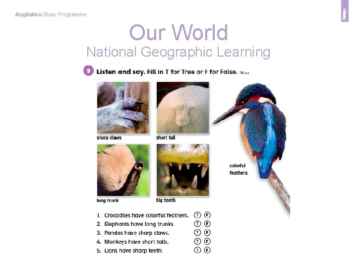Anglistics Study Programme Our World National Geographic Learning 