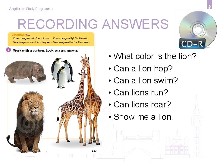 Anglistics Study Programme RECORDING ANSWERS • What color is the lion? • Can a