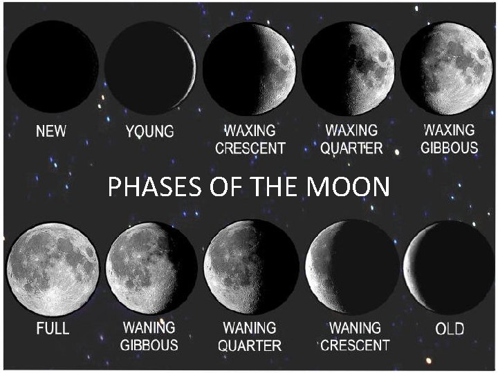 PHASES OF THE MOON 