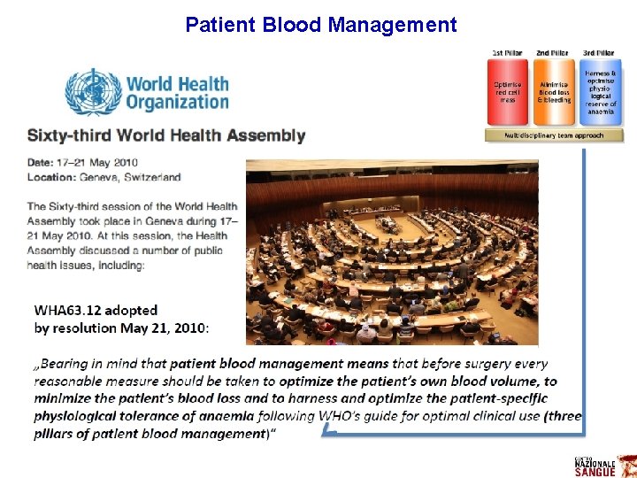 Patient Blood Management Patient Blood Management