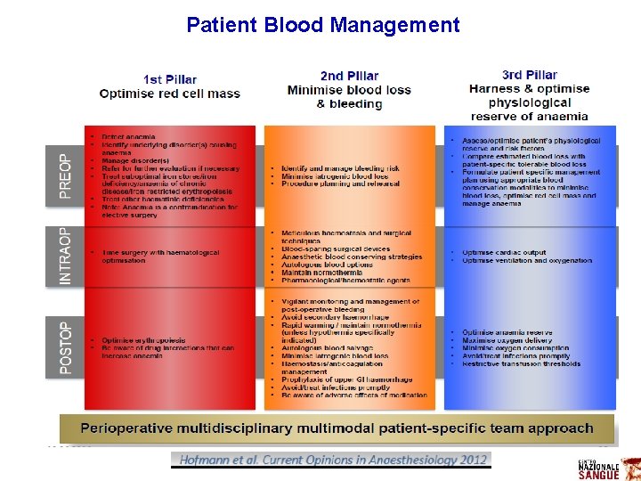 Patient Blood Management 