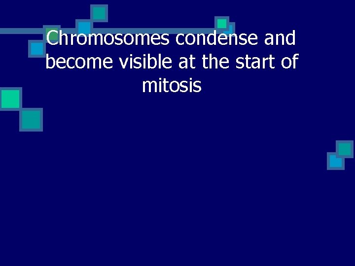 Chromosomes condense and become visible at the start of mitosis 