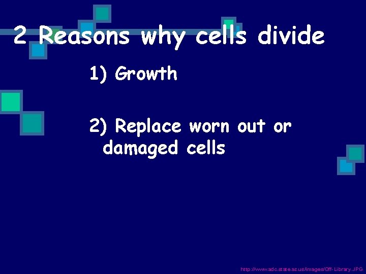 2 Reasons why cells divide 1) Growth 2) Replace worn out or damaged cells