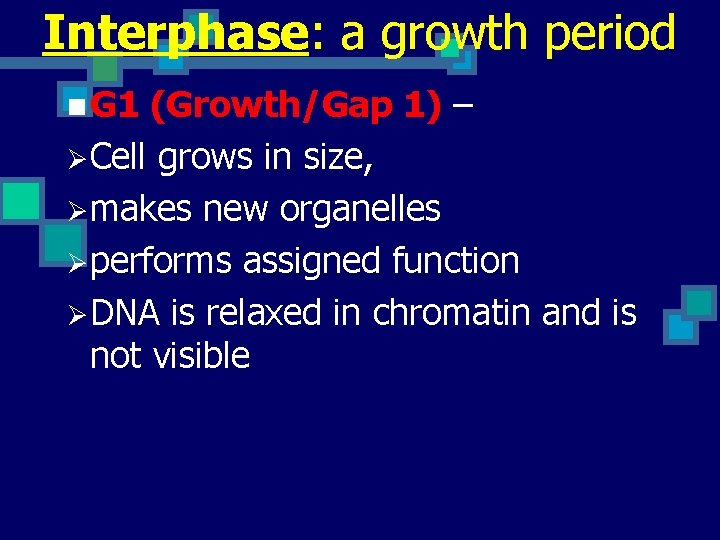 Interphase: a growth period n G 1 (Growth/Gap 1) – ØCell grows in size,