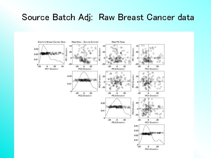 Source Batch Adj: Raw Breast Cancer data 