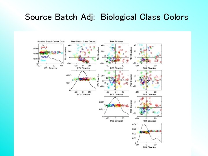 Source Batch Adj: Biological Class Colors 