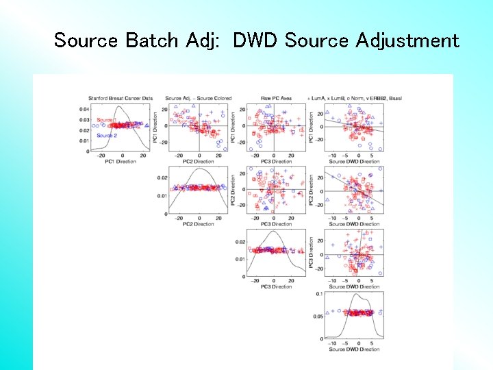 Source Batch Adj: DWD Source Adjustment 