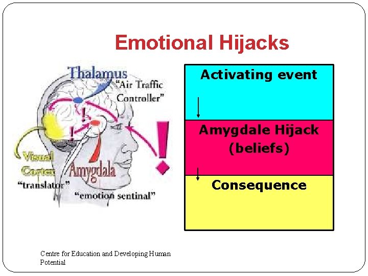 Emotional Hijacks Activating event Amygdale Hijack (beliefs) Consequence Centre for Education and Developing Human