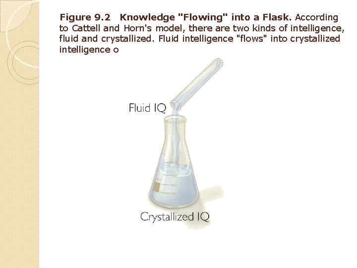 Figure 9. 2 Knowledge "Flowing" into a Flask. According to Cattell and Horn's model,