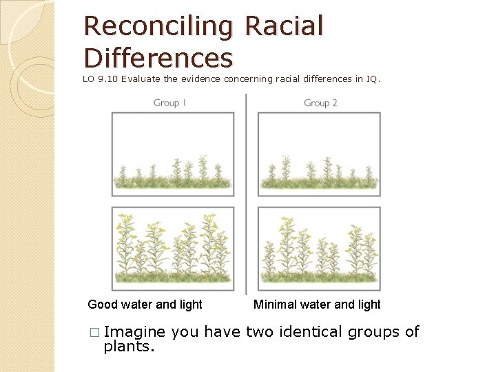 Reconciling Racial Differences LO 9. 10 Evaluate the evidence concerning racial differences in IQ.