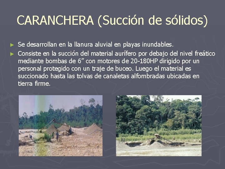 CARANCHERA (Succión de sólidos) Se desarrollan en la llanura aluvial en playas inundables. ►