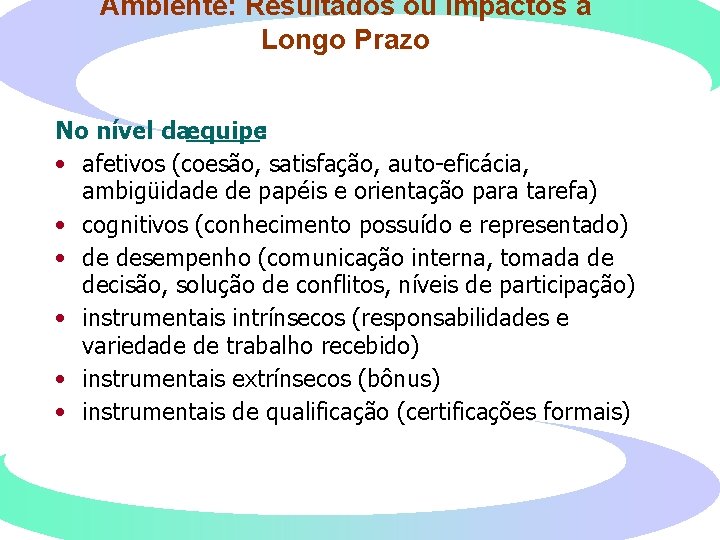 Ambiente: Resultados ou Impactos a Longo Prazo No nível da equipe: • afetivos (coesão,