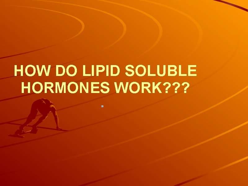HOW DO LIPID SOLUBLE HORMONES WORK? ? ? 