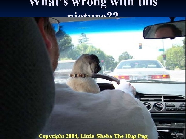 What’s wrong with this picture? ? 