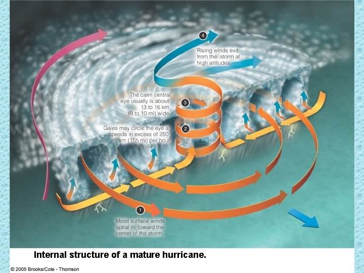 Internal structure of a mature hurricane. Internal structure of a mature hurricane.