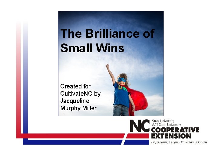 The Brilliance of Small Wins Created for Cultivate. NC by Jacqueline Murphy Miller 
