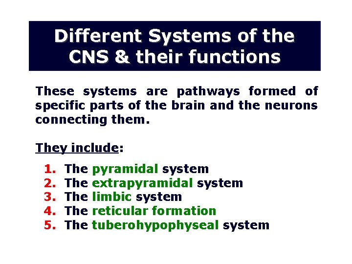 Different Systems of the CNS & their functions These systems are pathways formed of