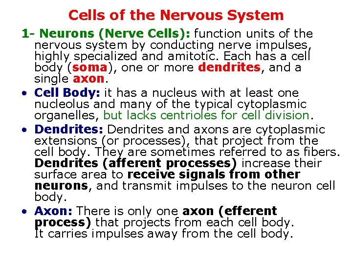 Cells of the Nervous System 1 - Neurons (Nerve Cells): function units of the