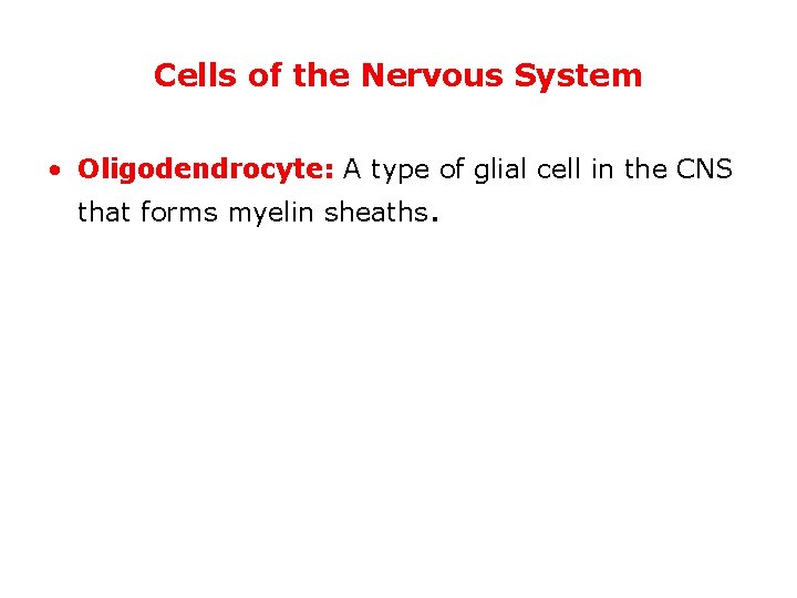 Cells of the Nervous System • Oligodendrocyte: A type of glial cell in the