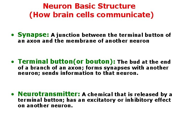 Neuron Basic Structure (How brain cells communicate) • Synapse: A junction between the terminal