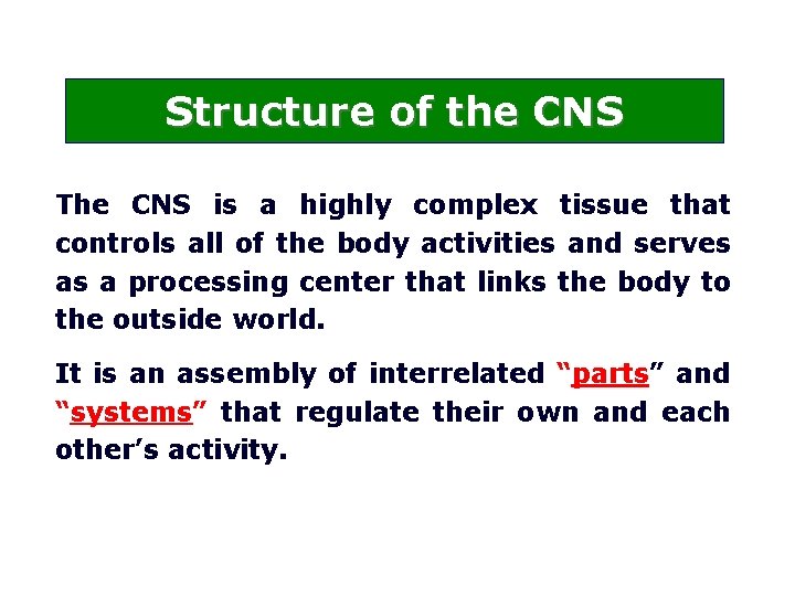 Structure of the CNS The CNS is a highly complex tissue that controls all