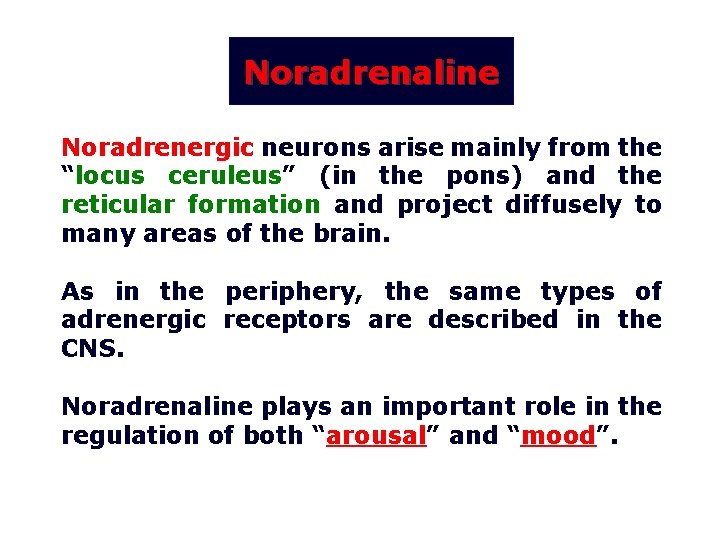 Noradrenaline Noradrenergic neurons arise mainly from the “locus ceruleus” (in the pons) and the