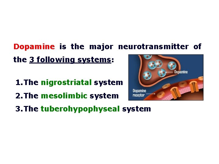 Dopamine is the major neurotransmitter of the 3 following systems: 1. The nigrostriatal system