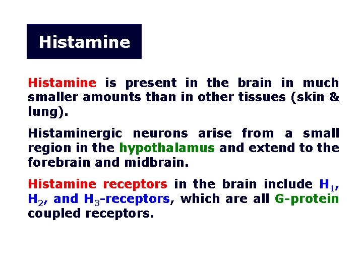 Histamine is present in the brain in much smaller amounts than in other tissues