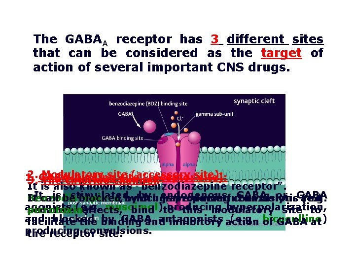 The GABAA receptor has 3 different sites that can be considered as the target