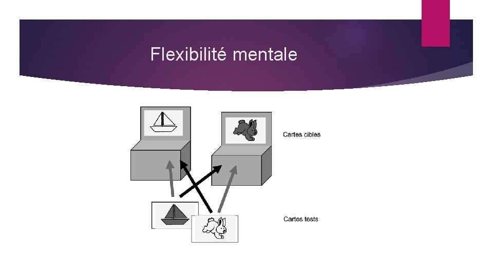 Flexibilité mentale 