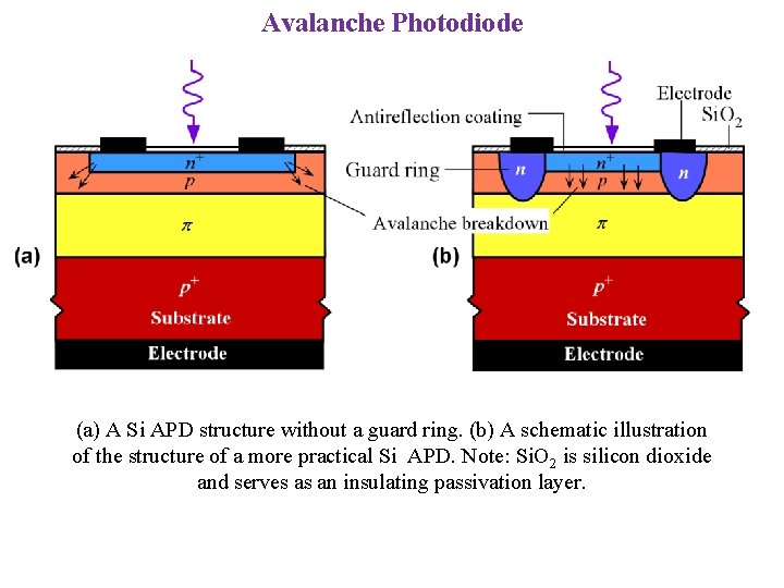 Avalanche Photodiode Gain or Multiplication M Avalanche Photodiode