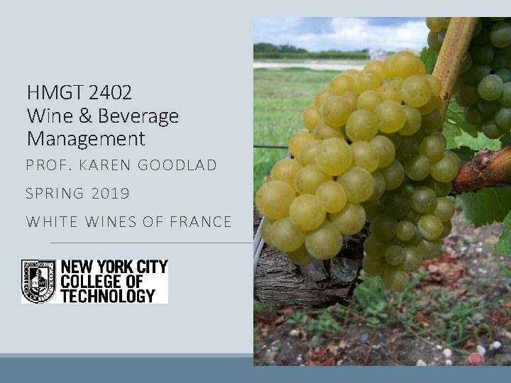 HMGT 2402 Wine & Beverage Management PROF. KAREN GOODLAD SPRING 2019 WHITE WINES OF