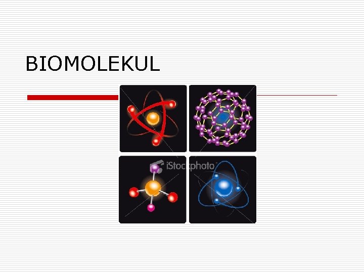 BIOMOLEKUL 