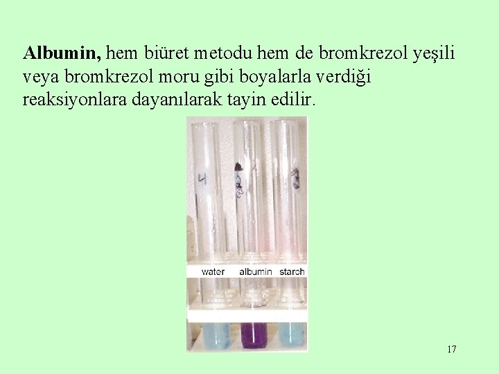 Albumin, hem biüret metodu hem de bromkrezol yeşili veya bromkrezol moru gibi boyalarla verdiği