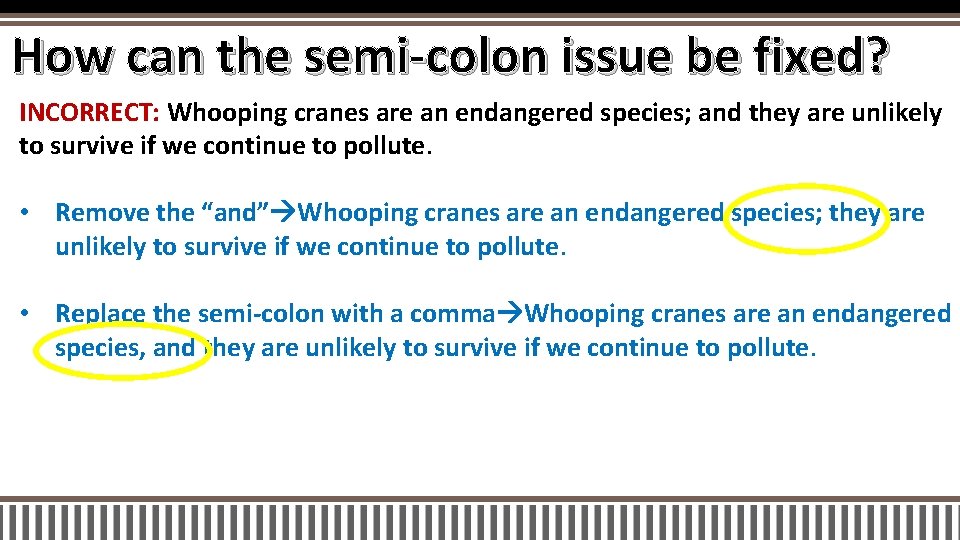 How can the semi-colon issue be fixed? INCORRECT: Whooping cranes are an endangered species;