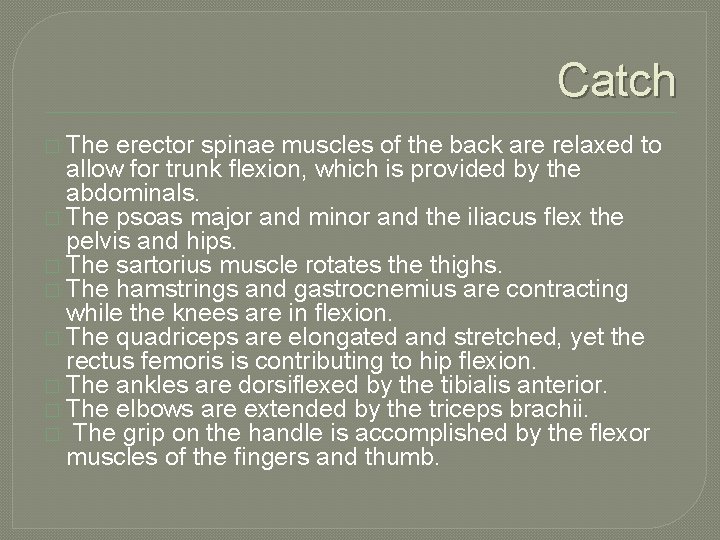 Catch � The erector spinae muscles of the back are relaxed to allow for