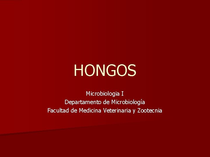 HONGOS Microbiologia I Departamento de Microbiología Facultad de Medicina Veterinaria y Zootecnia 
