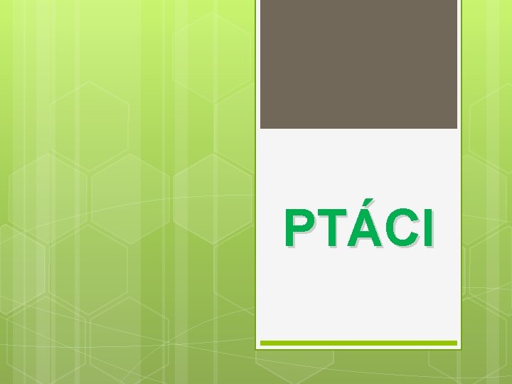 PTÁCI 