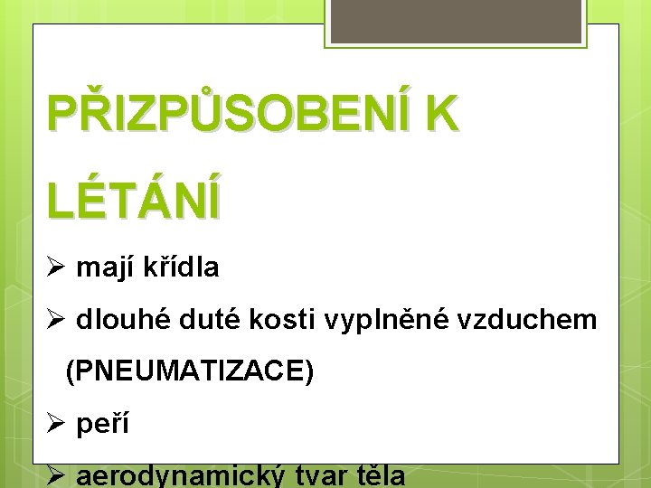 PŘIZPŮSOBENÍ K LÉTÁNÍ Ø mají křídla Ø dlouhé duté kosti vyplněné vzduchem (PNEUMATIZACE) Ø