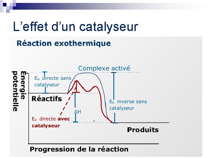 L’effet d’un catalyseur 