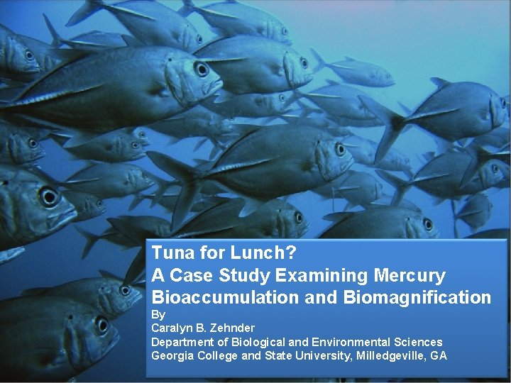 Tuna for Lunch? A Case Study Examining Mercury Bioaccumulation and Biomagnification By Caralyn B.