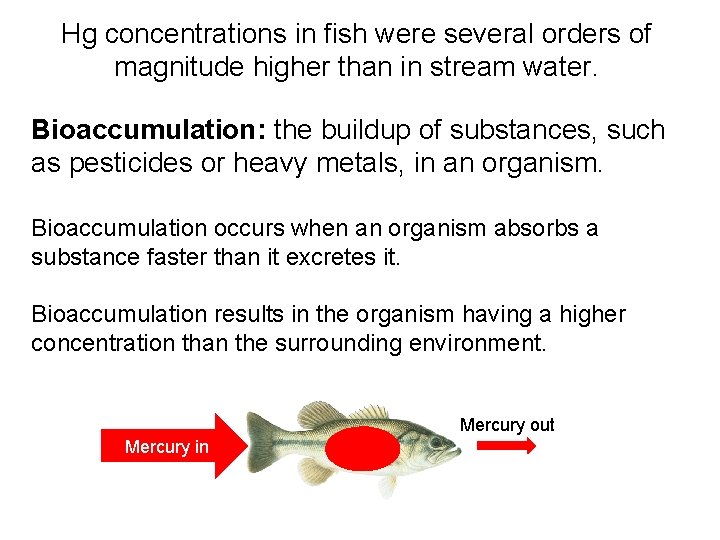 Hg concentrations in fish were several orders of magnitude higher than in stream water.