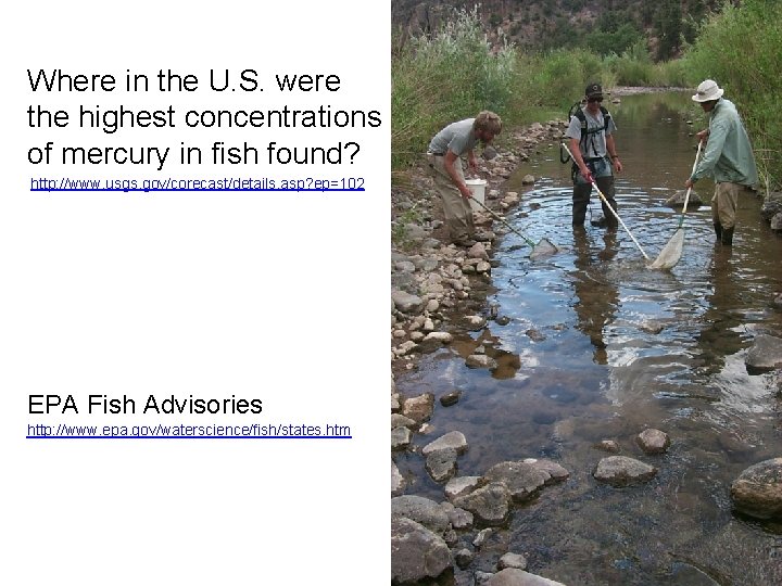 Where in the U. S. were the highest concentrations of mercury in fish found?