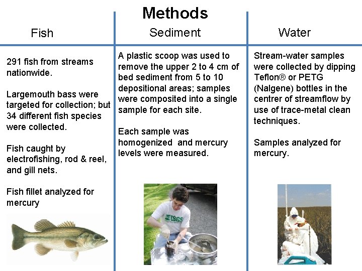 Methods Fish Sediment A plastic scoop was used to remove the upper 2 to