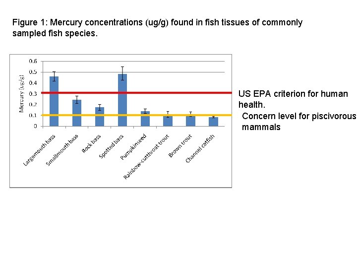 Figure 1: Mercury concentrations (ug/g) found in fish tissues of commonly sampled fish species.