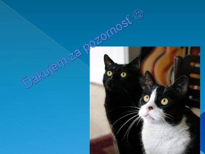 ť s o n r o z o p a z m e ť s o n r o z o p a z m e