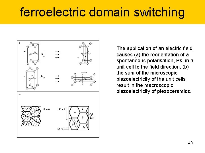 ferroelectric domain switching The application of an electric field causes (a) the reorientation of