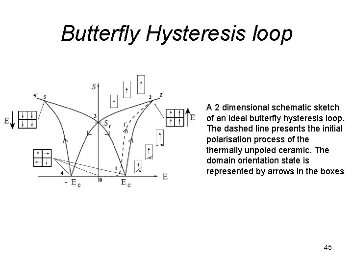 Butterfly Hysteresis loop A 2 dimensional schematic sketch of an ideal butterfly hysteresis loop.